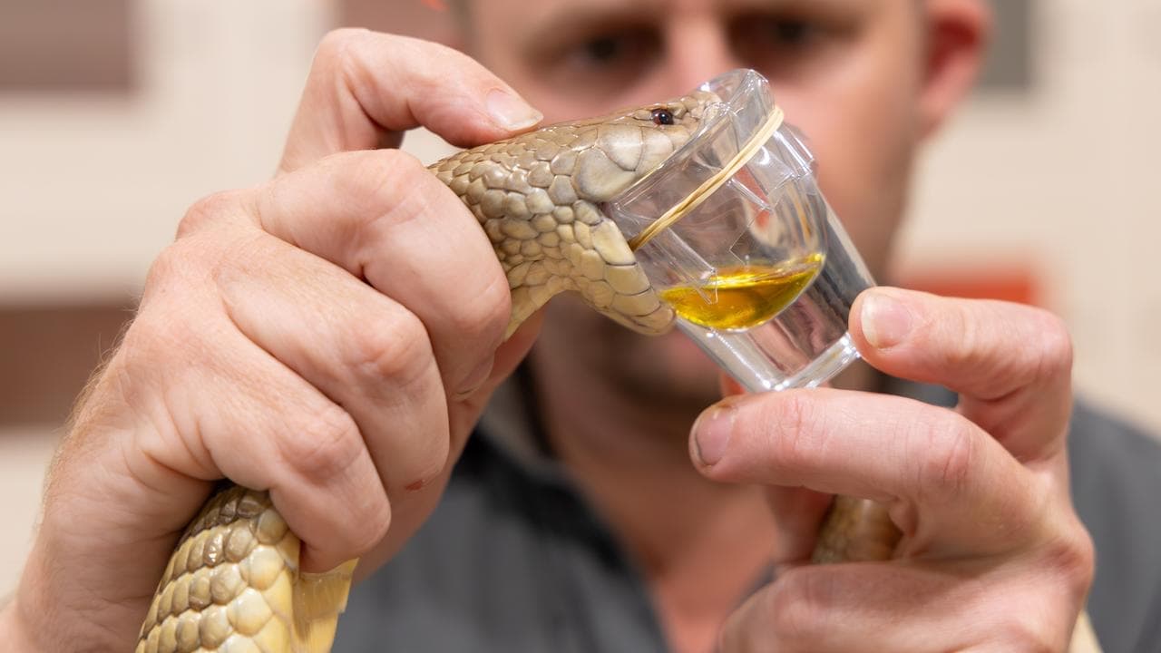 Sir David Attenborough slavi 100. rođendan: Koncert u Londonu i australski događaji — image 1