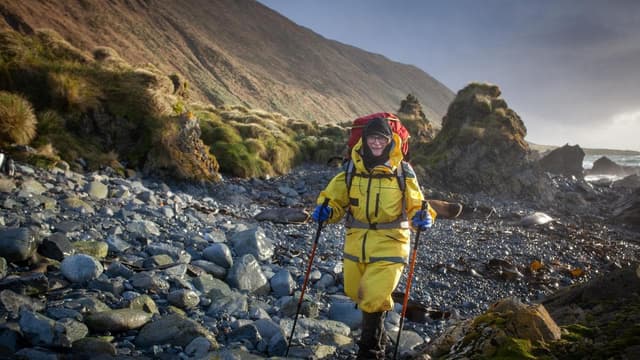 Art captures teeming botanic revival on subpolar isle