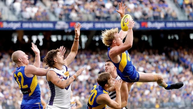 Keep me down back: Eagle Ginbey happy where he is