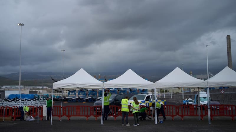 WHO head reassures island as hantavirus-hit ship nears