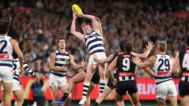 Dangerfield wants to back up for Cats' grudge match
