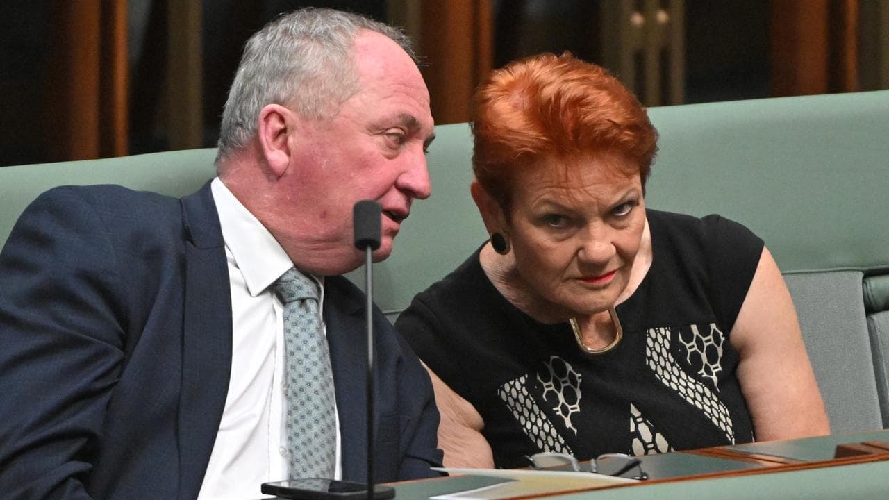 'Ridiculed' Hanson looks to coalition kingmaker role