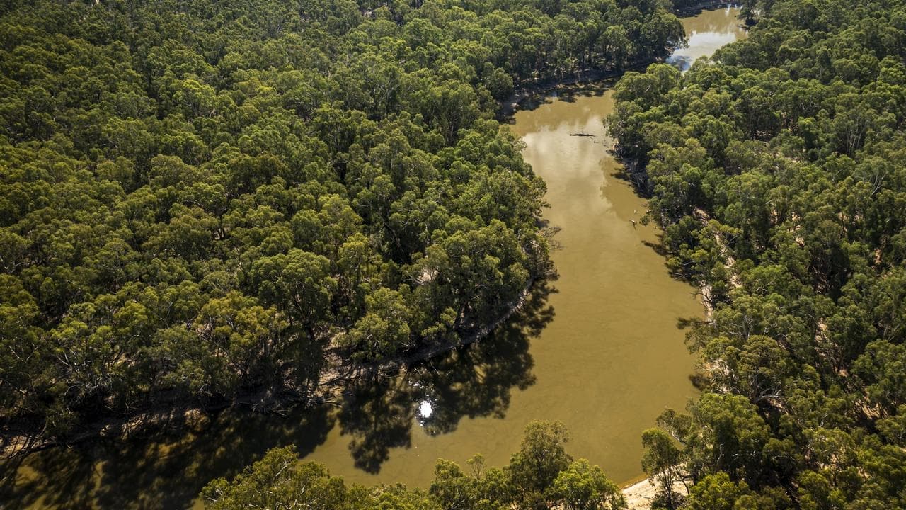 Water project greenlit despite threat to rare birds