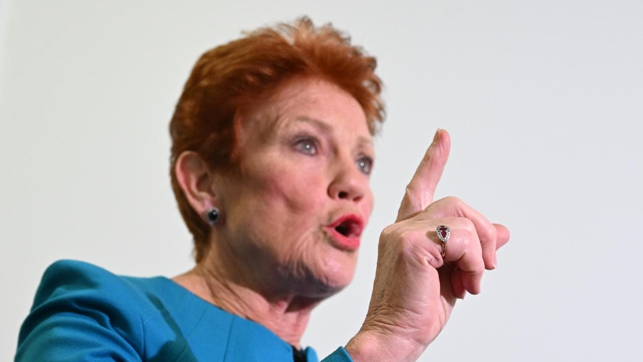 'Desperate': One Nation lashes coalition policy 'copy'