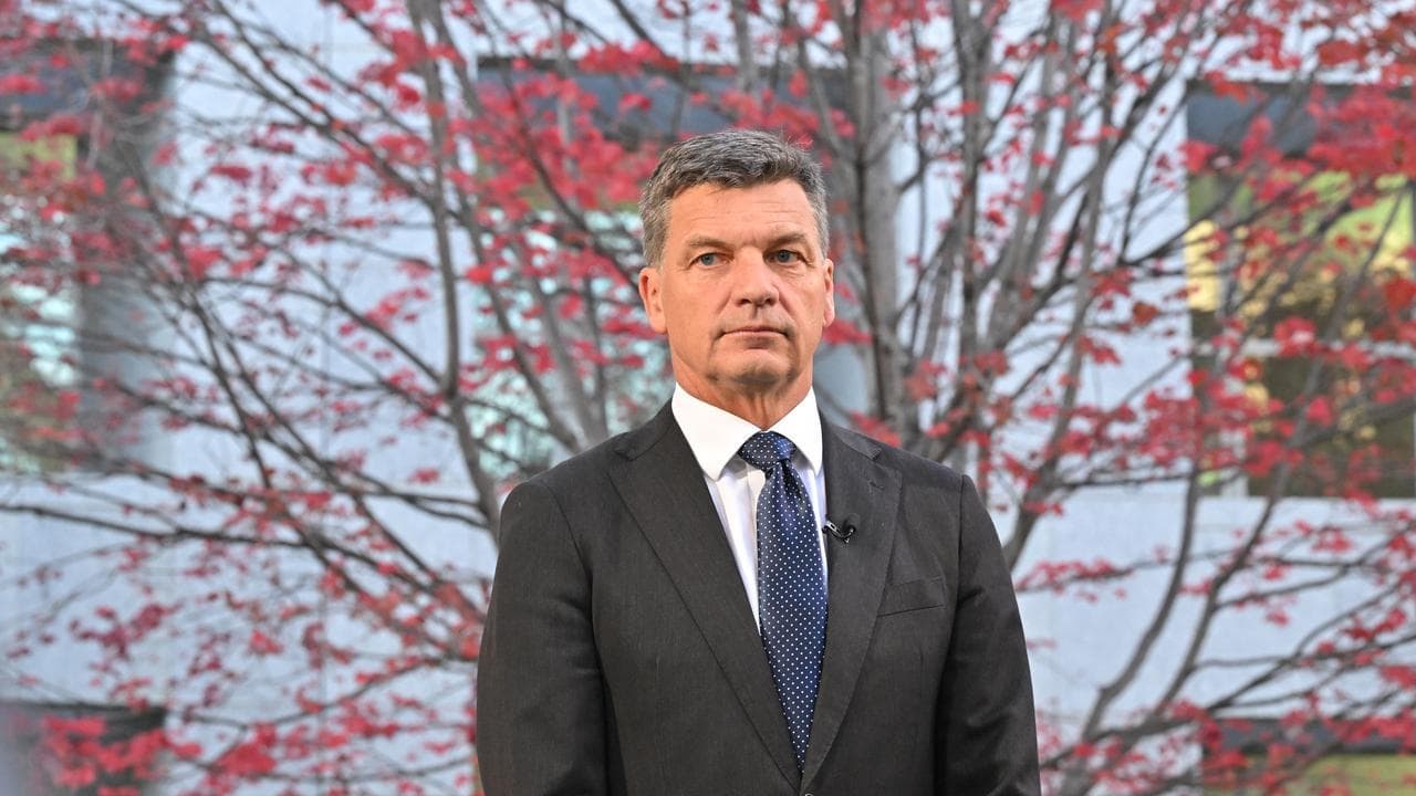 Opposition pledges to restrict welfare for foreigners