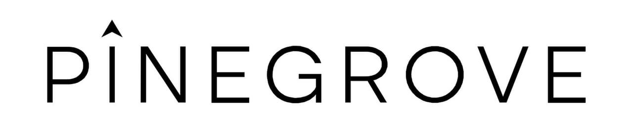 Pinegrove Credit Partners and Temasek Announce Strategic Partnership to Support Innovation Through Venture Debt
