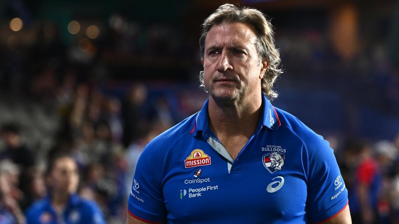 Past and present Dogs assistants backed for Blues job