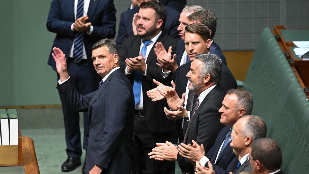 Coalition 'puffing on the dog whistle' from One Nation