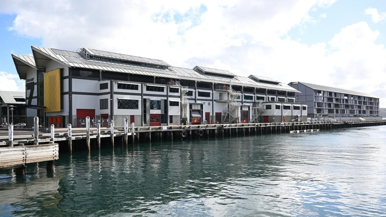 Wharf termite repairs worm way into budget