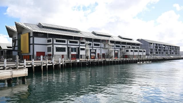 Wharf termite repairs worm way into budget