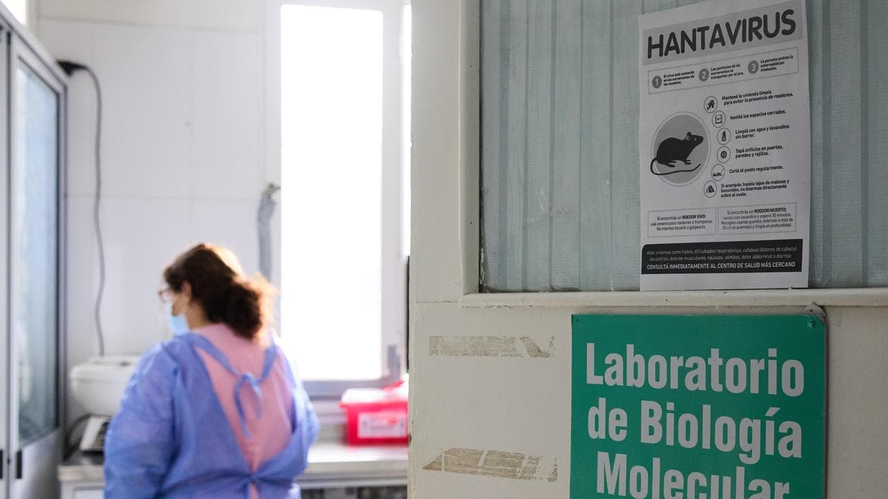 WHO revises down global hantavirus cases after US test