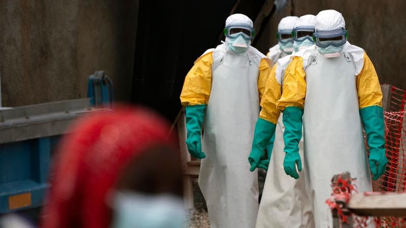 WHO declares Ebola outbreak a global health emergency