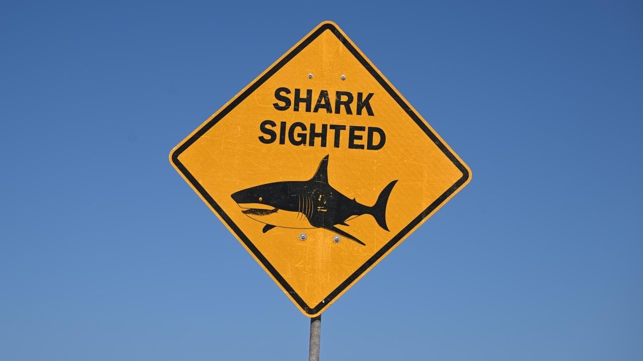 Tributes flow for father-of-two killed in shark attack