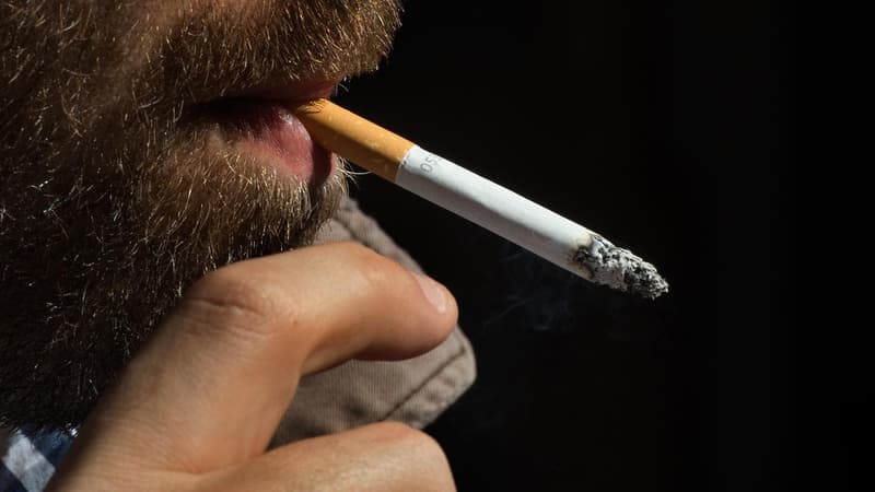 'Nightmare scenario': illegal tobacco impact laid bare