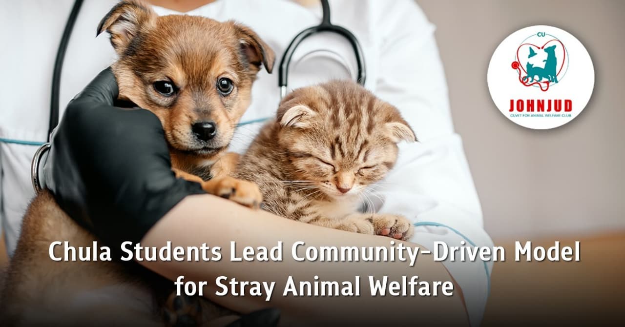 Chula Students Lead Community-Driven Model for Stray Animal Welfare