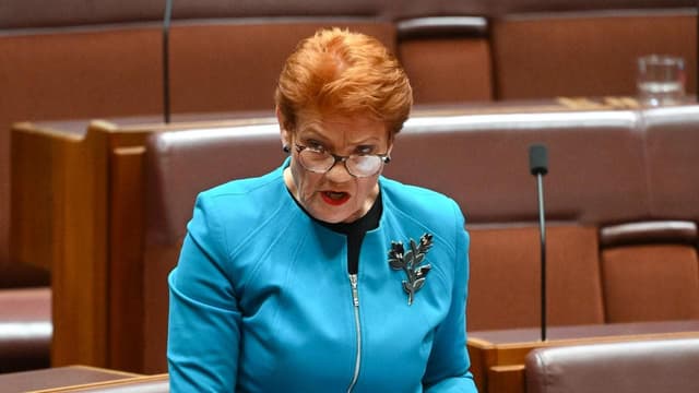 Hanson lashes gas tax 'vandalism', reveals energy plan