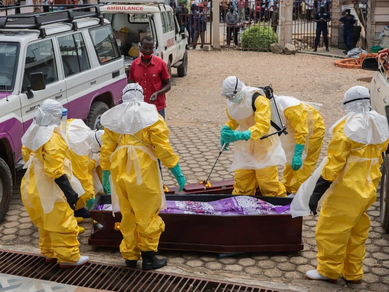 Congo reports more than 200 suspected Ebola deaths