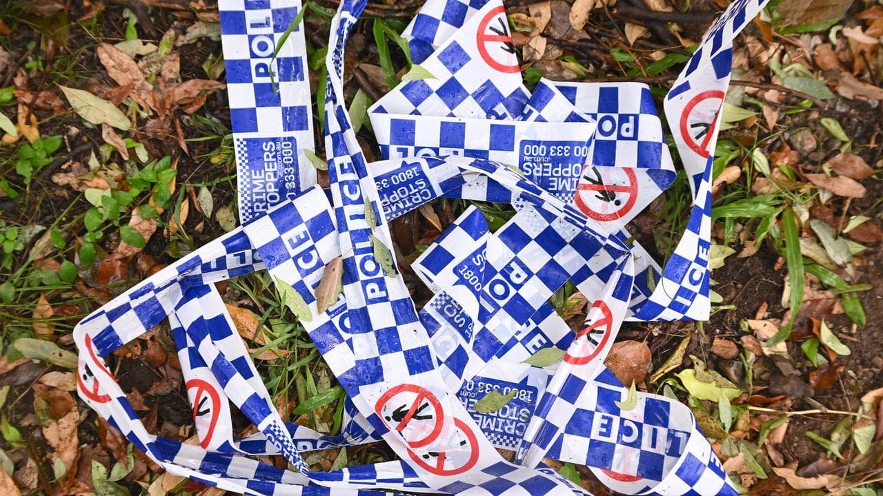 Police shot dead alleged domestic violence perpetrator