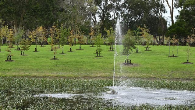 As cemeteries fill, Australians choose forests