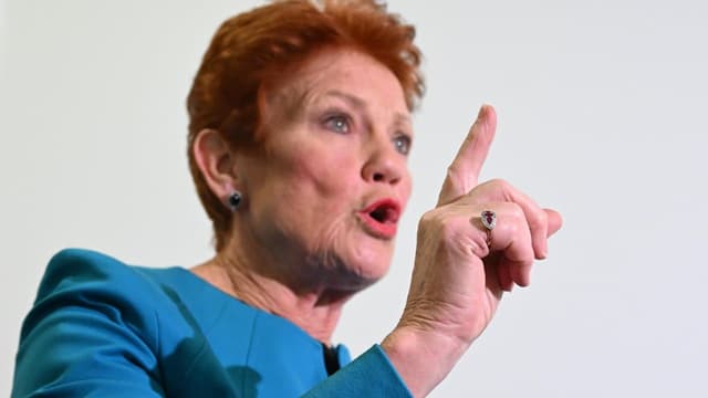 Pauline Hanson won't tie One Nation to coalition 'dog'