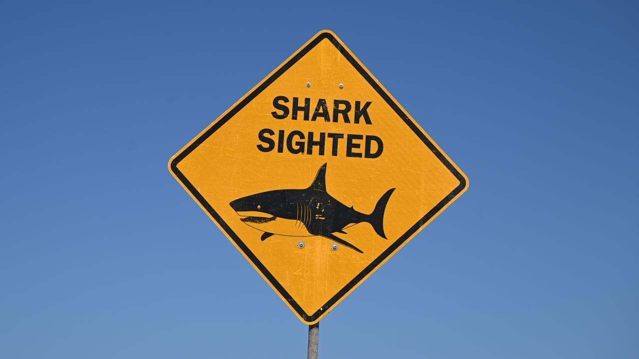 Spearfisher dies in shark attack at popular diving spot
