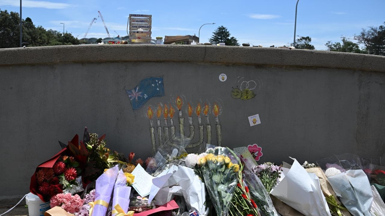 Synagogue killings sparked warning before Bondi attack