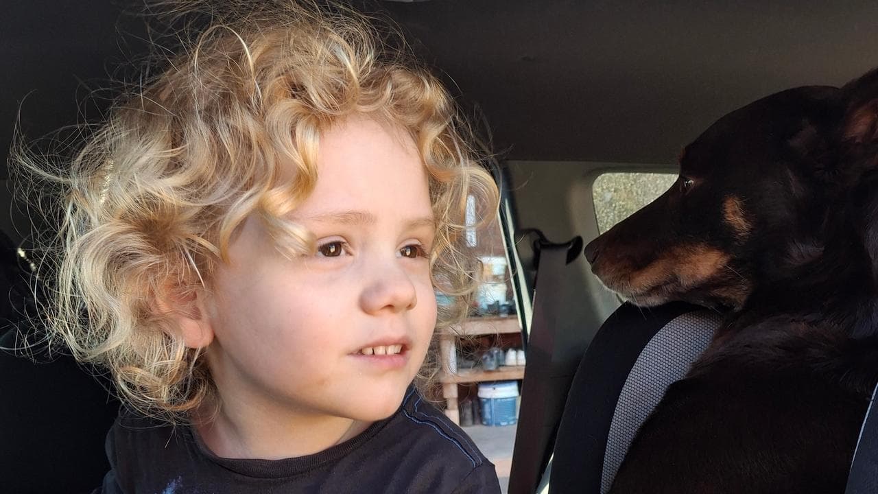 Rain brings hope of solving missing boy mystery