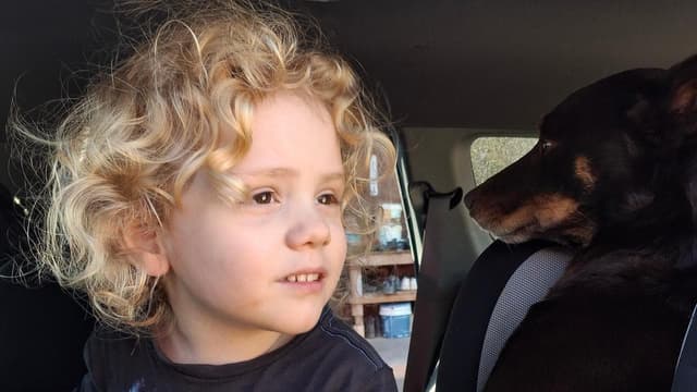Rain brings hope of solving missing boy mystery