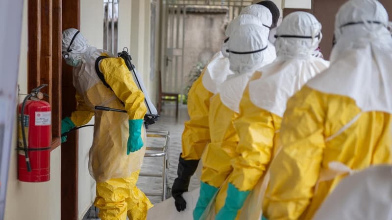 WHO reports 906 suspected Ebola cases in DR Congo