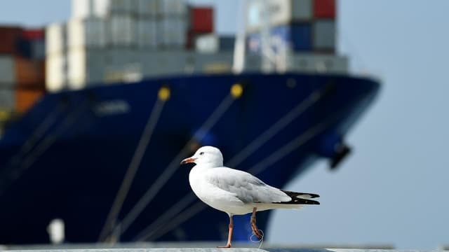 Cargo ship secured for national emergency fleet