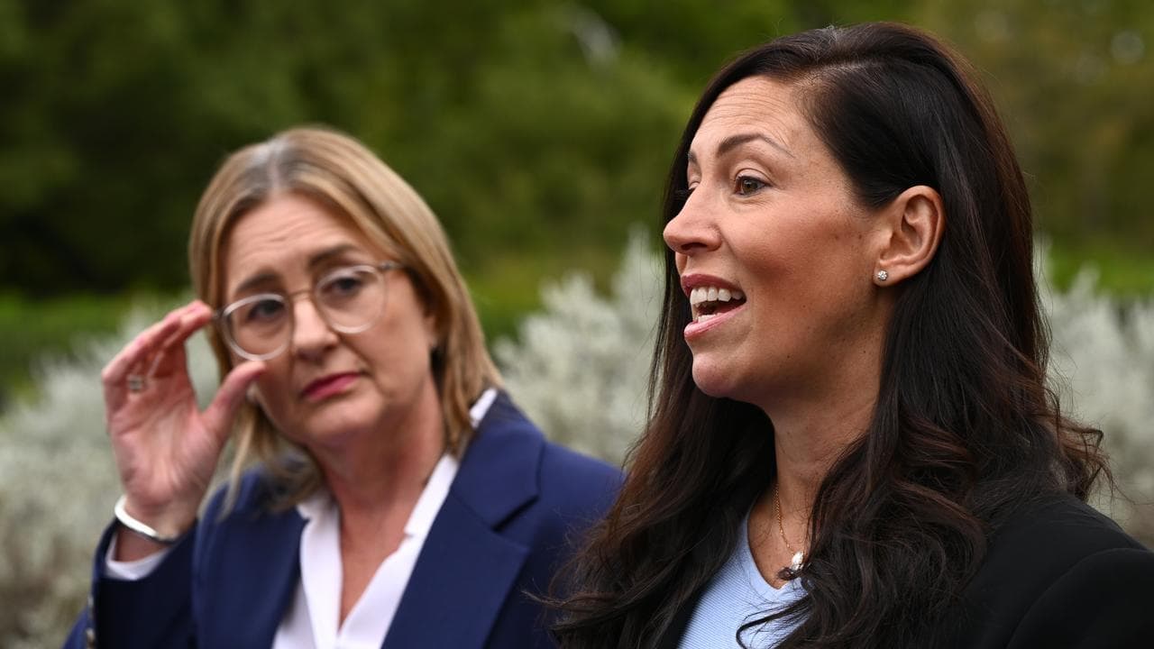 Premier stands by minister after 'dodgy' references