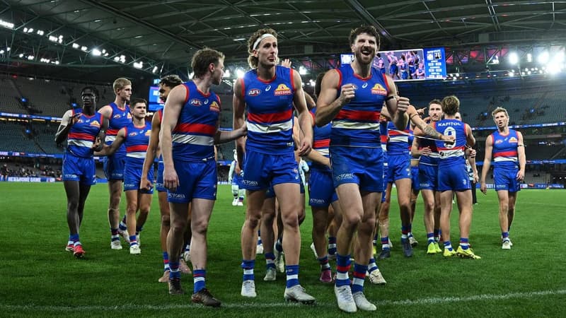 Western Bulldogs inundated by wave of AI-generated disinformation