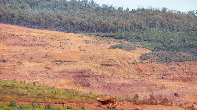 Call for reform amid rampant land clearing, nature loss