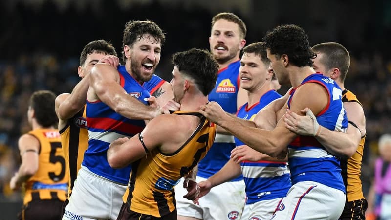 Dogs' spirit shines in comeback win over Hawks