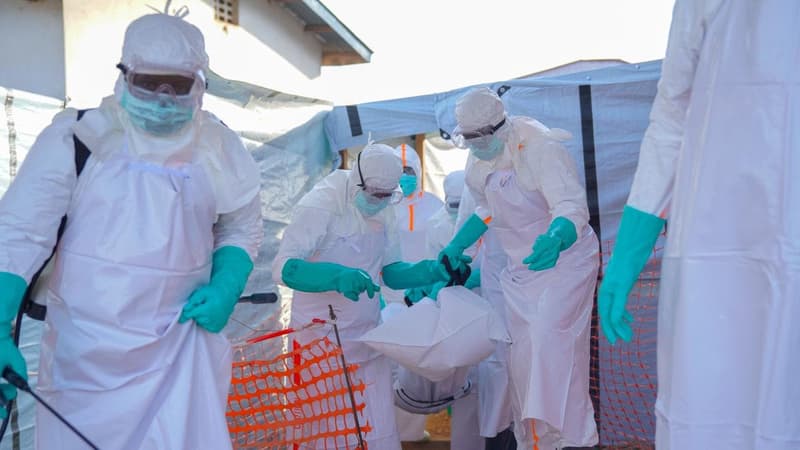Ebola cases hit 389 in DR Congo, including 63 deaths