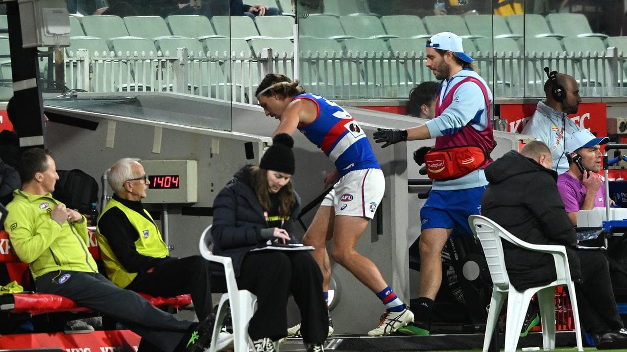 Dogs defender takes down Wizard - and abusive fan