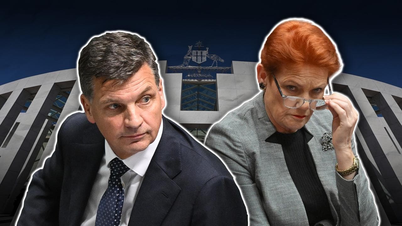 Coalition leaves door open to working with One Nation