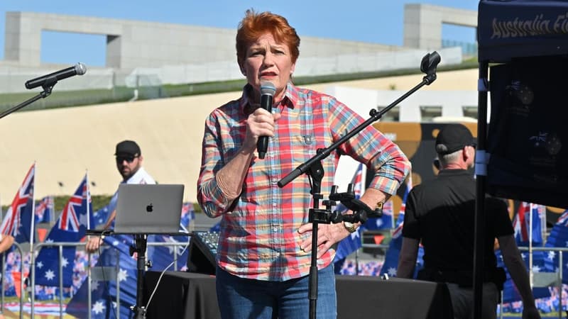 Audit shows fundraising is 'ridgy didge': One Nation