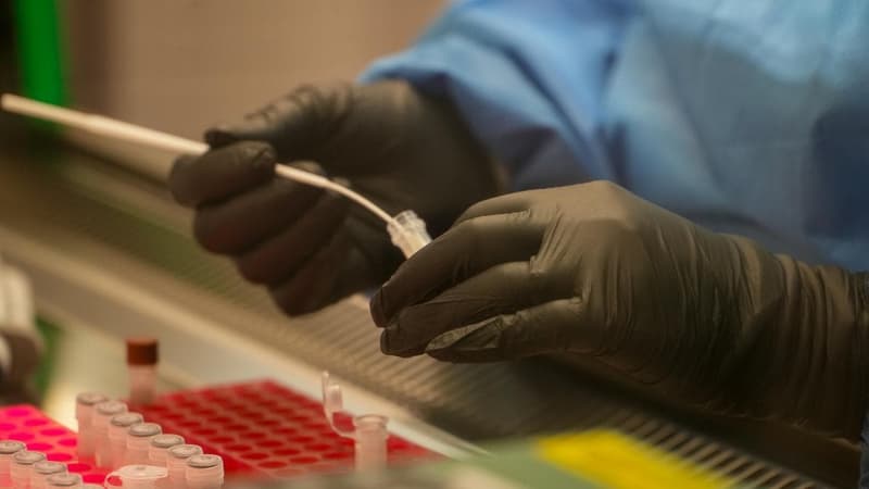 Double jeopardy: laws to be tested after new DNA found