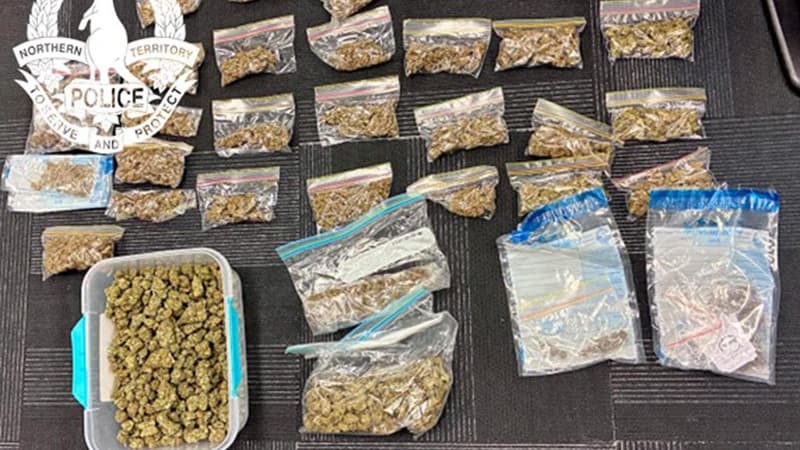 Cat food for cannabis deals lead to contraband kitty