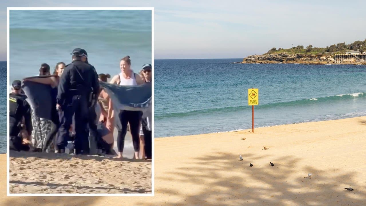 'Incredibly tragic': shark attack spooks swimmers