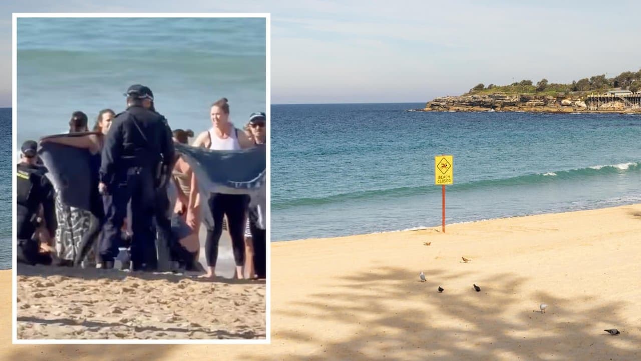 'Incredibly tragic': shark attack spooks swimmers