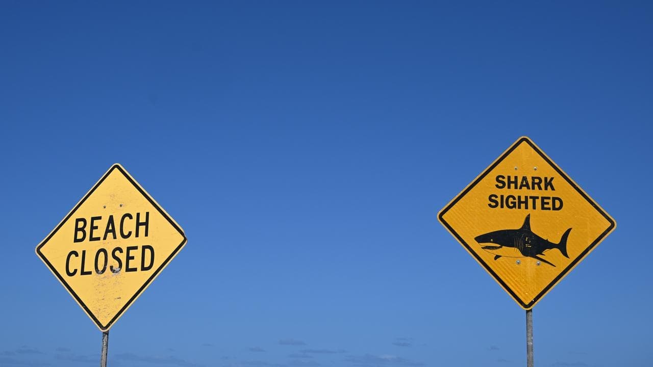 Woman critical after city beach shark attack