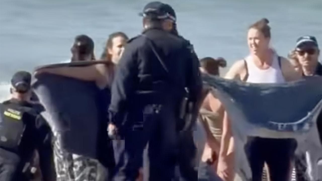 Beachgoers pull woman from water after shark attack