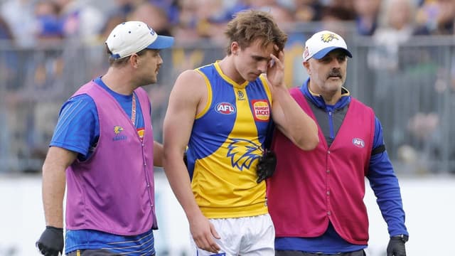 Curtis cops ban, Eagles confused by HIA bench blunder