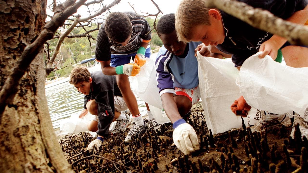 Climate education is patchy and teachers need help