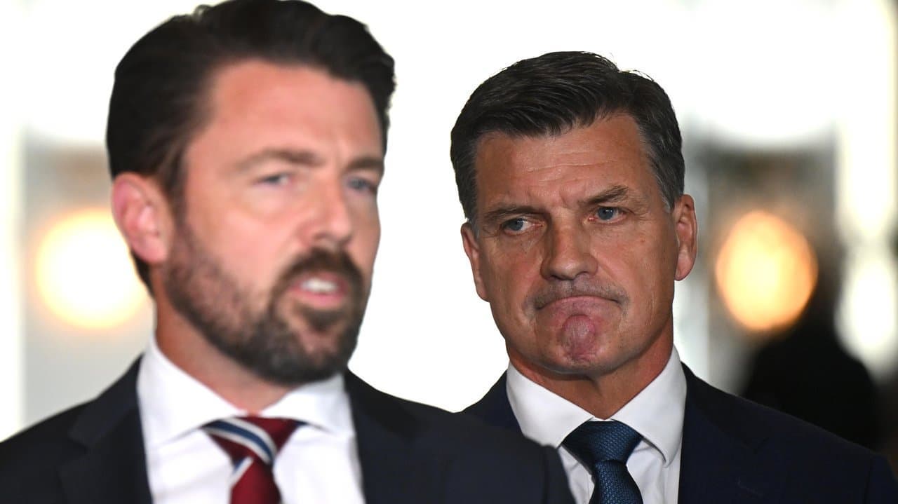 Liberal star to quit as Hanson's PM push continues