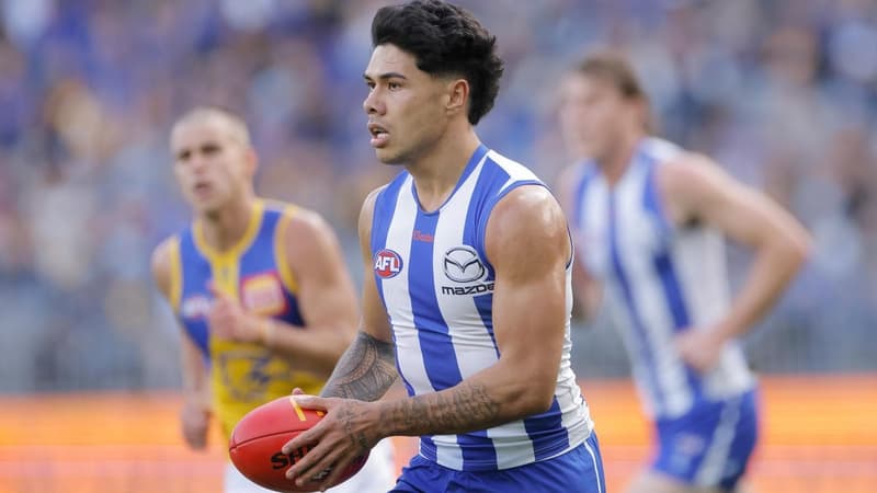 North to take Curtis three-match ban to AFL tribunal