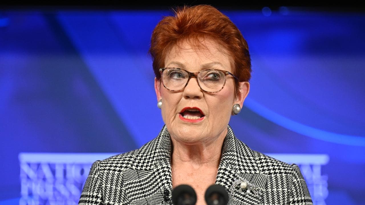 'Trashy journalist': One Nation plan for media shake-up