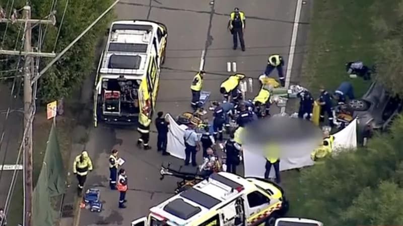 Mother's horror as two children die in pram crash